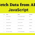 Api in Javascript