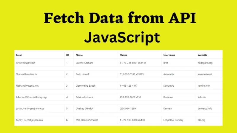 Fetch and Display User Data from an API with JavaScript