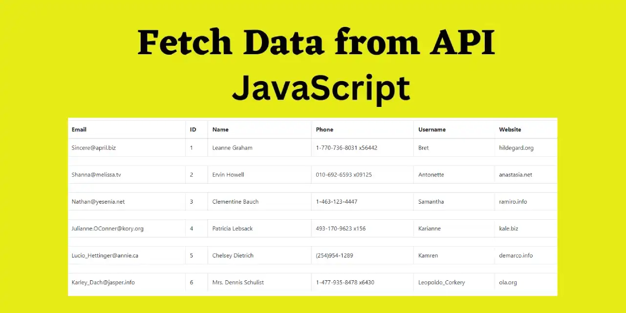 Fetch and Display User Data from an API with JavaScript