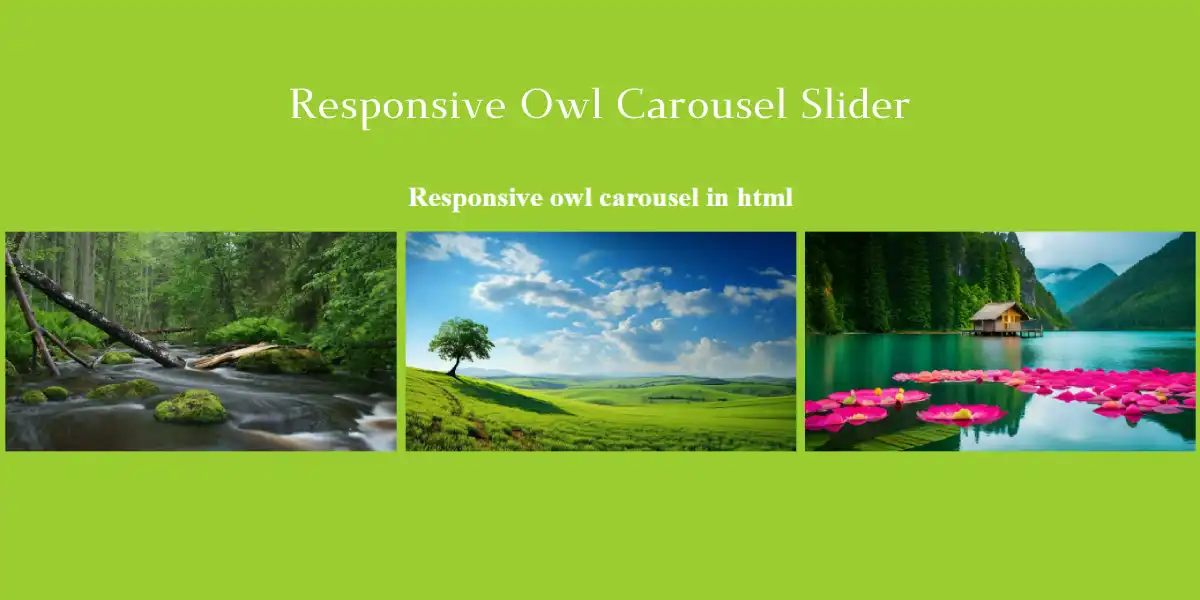 How to Create a Responsive Owl Carousel in HTML | Step-by-Step Guide